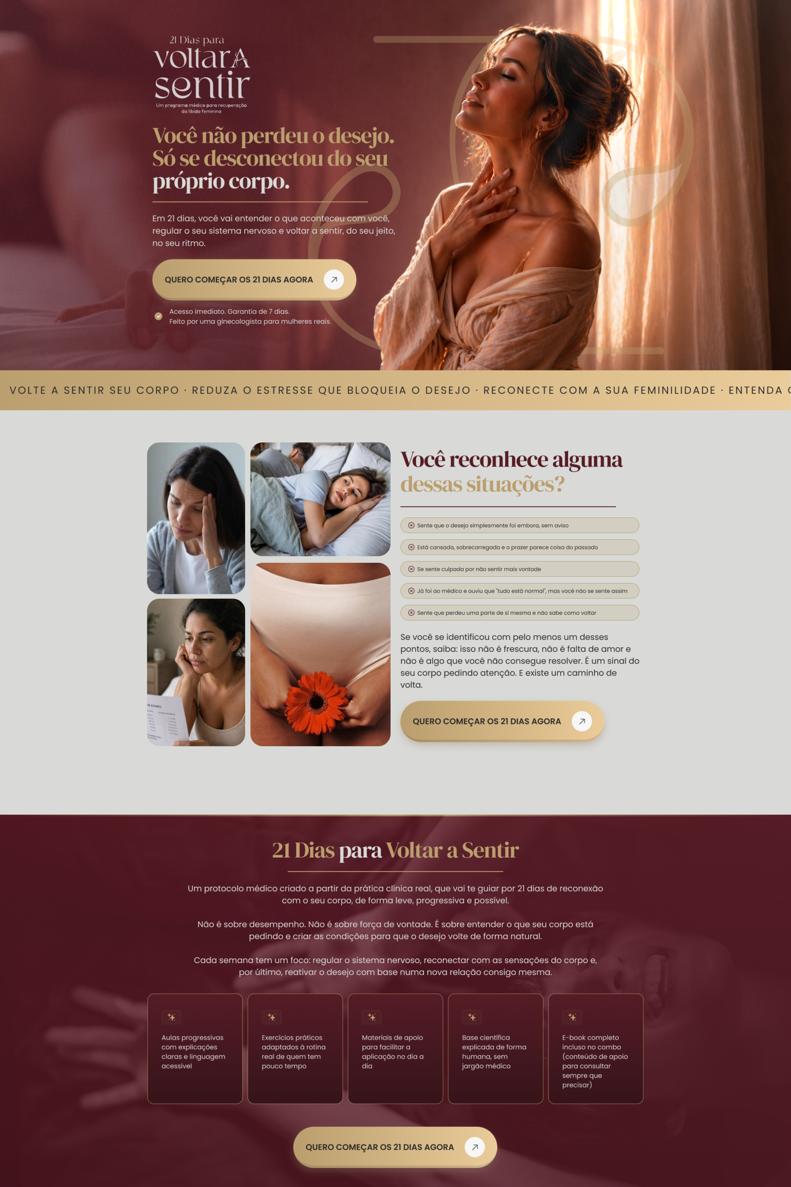 Modelo-06 (7)
